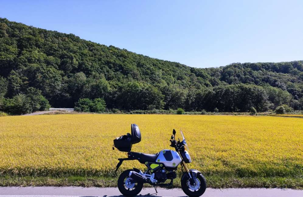 バイク8